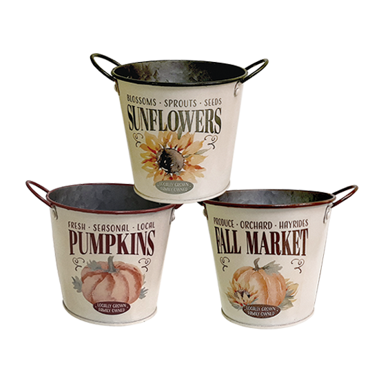 NEW Autumn Containers and Designs 2023 - Belvedere Flowers of Havertown PA